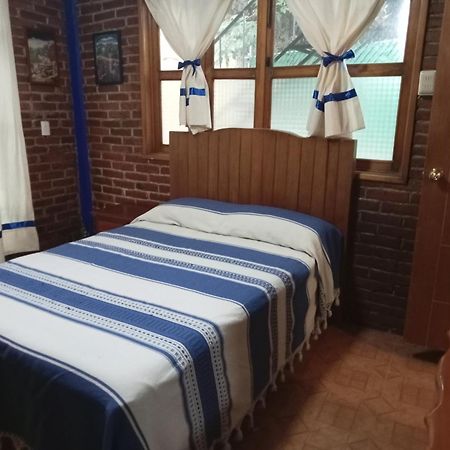 Coyoacan Departamento Tipo Colonial Città del Messico Esterno foto