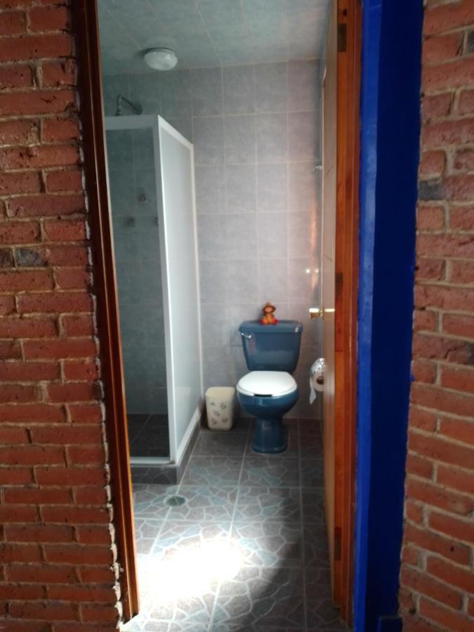 Coyoacan Departamento Tipo Colonial Città del Messico Esterno foto