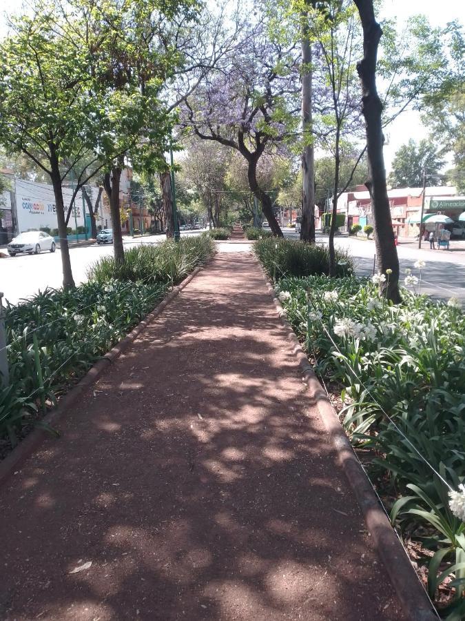Coyoacan Departamento Tipo Colonial Città del Messico Esterno foto